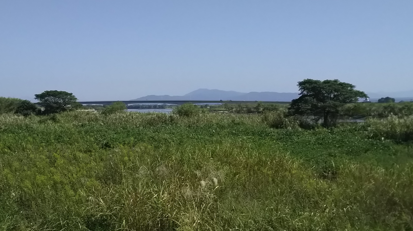 佐賀県三養基群みやき町三根付近の筑後川河川敷_オオクワガタの多産地 2021年10月3日12時頃